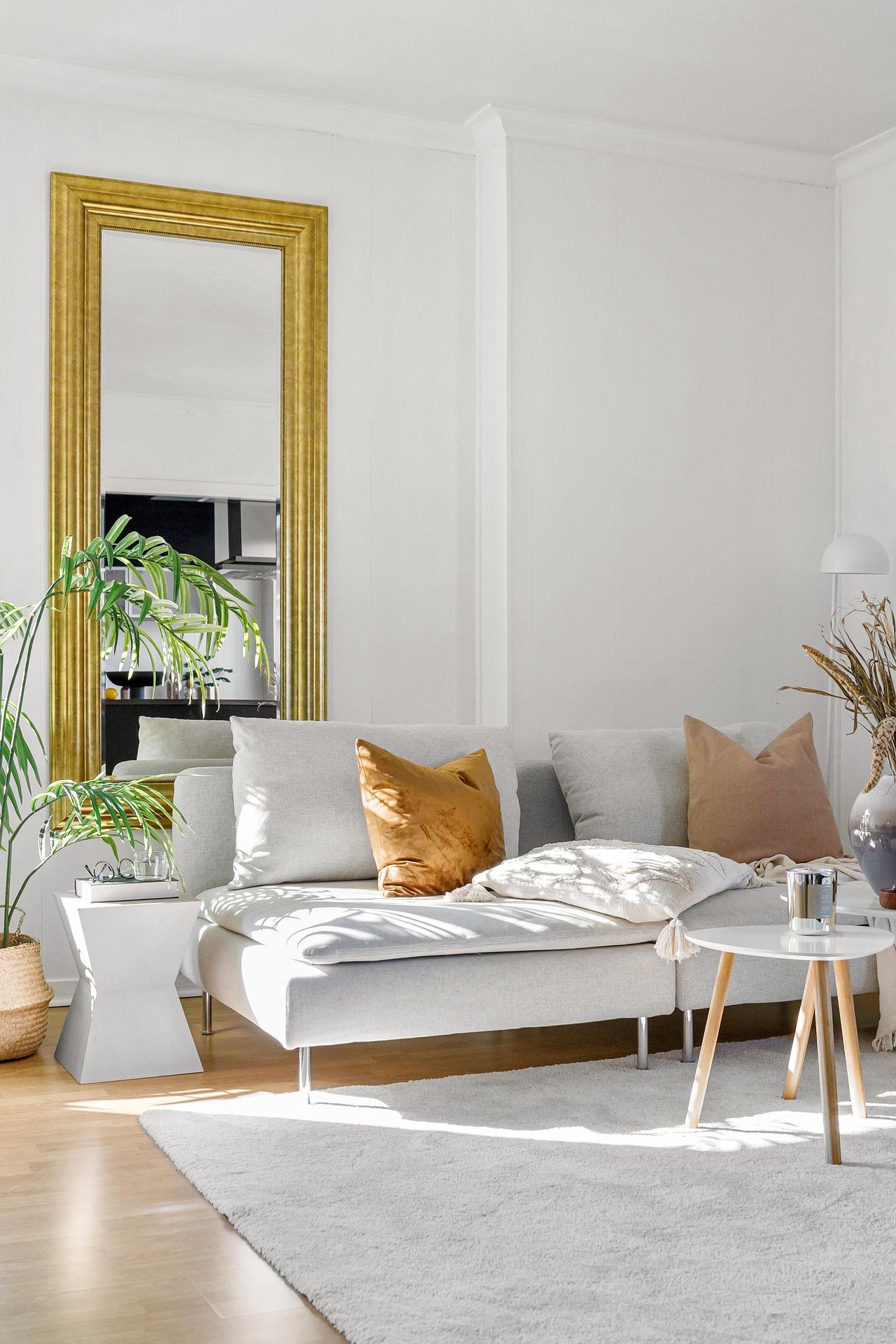Modern minimalistisch interieur met sculptuurplant in matte betonlook pot