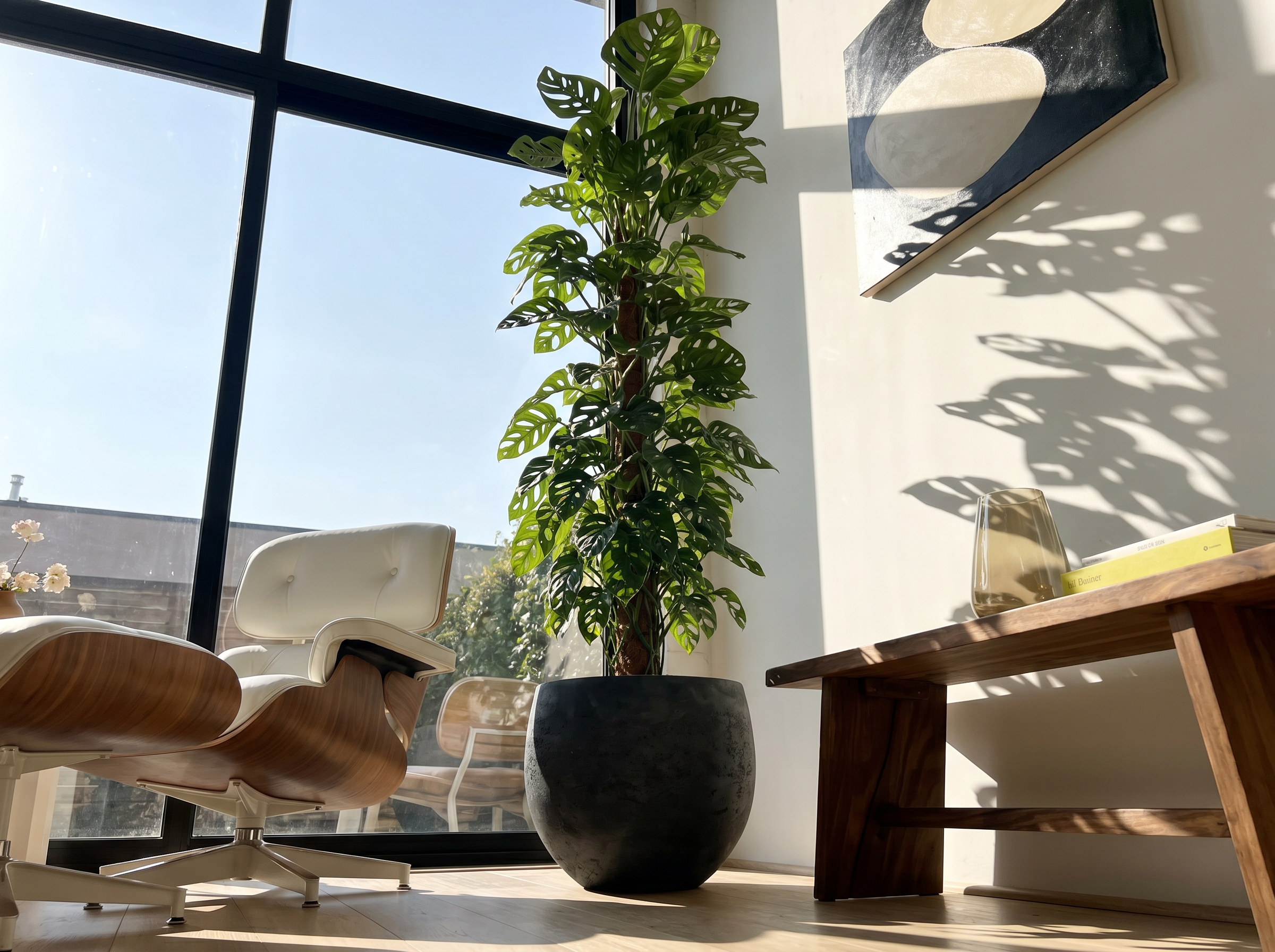 Monstera Monkey Leaf (Mosstok) in urban jungle interieur