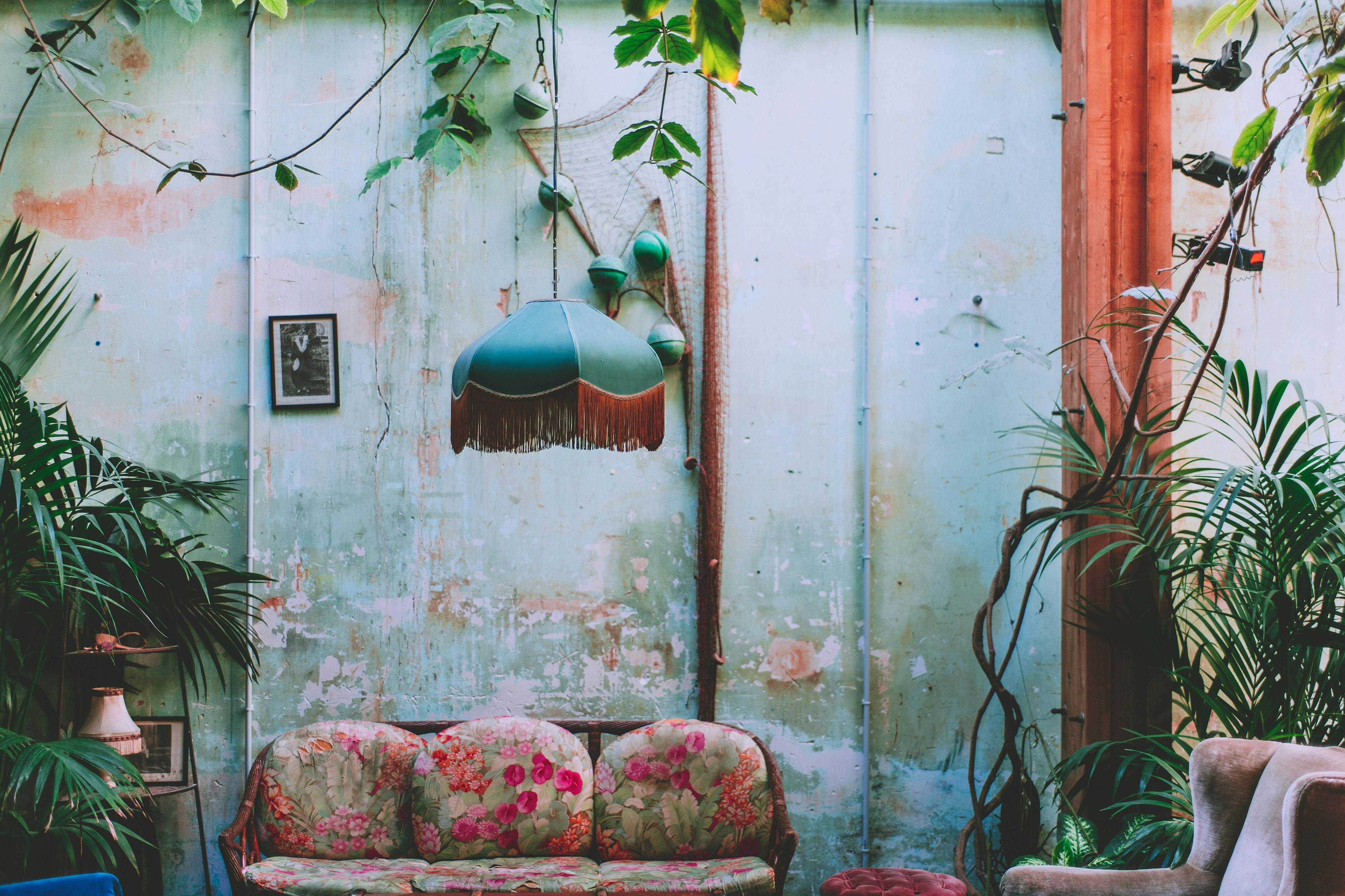 Boho planten gids: stijlvolle bohemian sfeer met premium kamerplanten