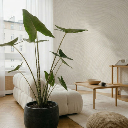 Alocasia Zebrina in urban jungle interieur