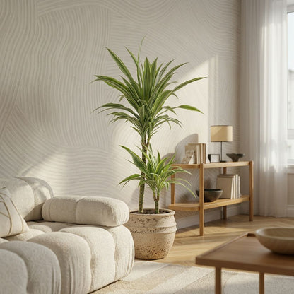 Dracaena Deremensis White Stripe (Accentplant) in modern minimalistisch interieur