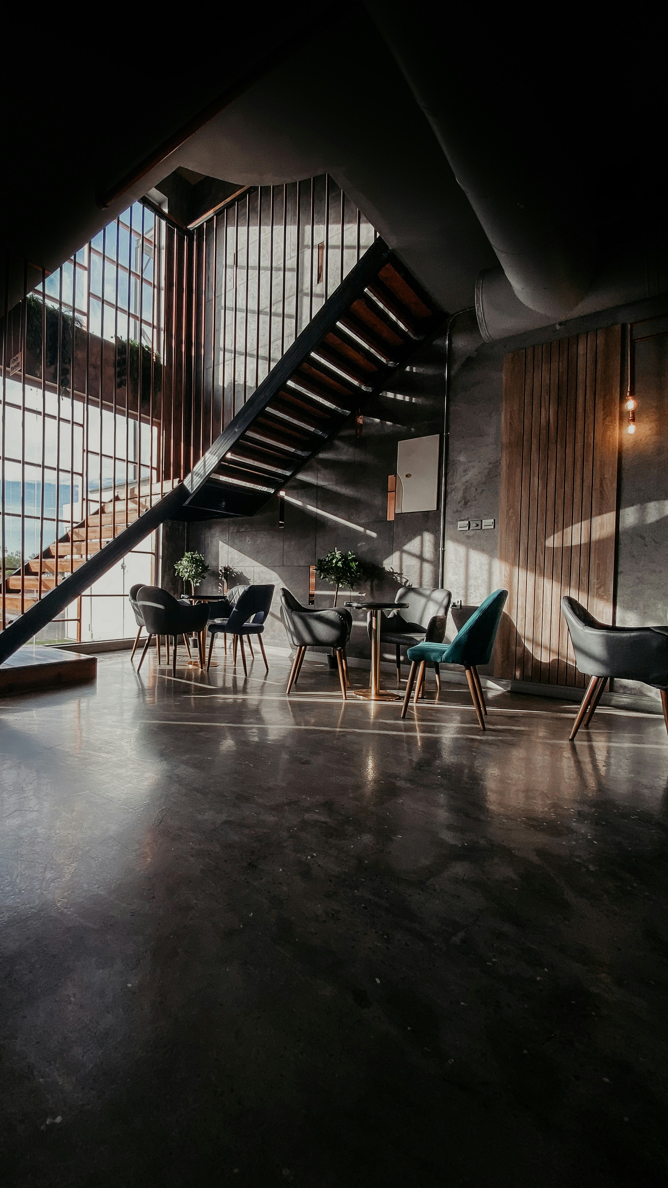 Industrieel interieur met architecturale kamerplant in betonlook pot