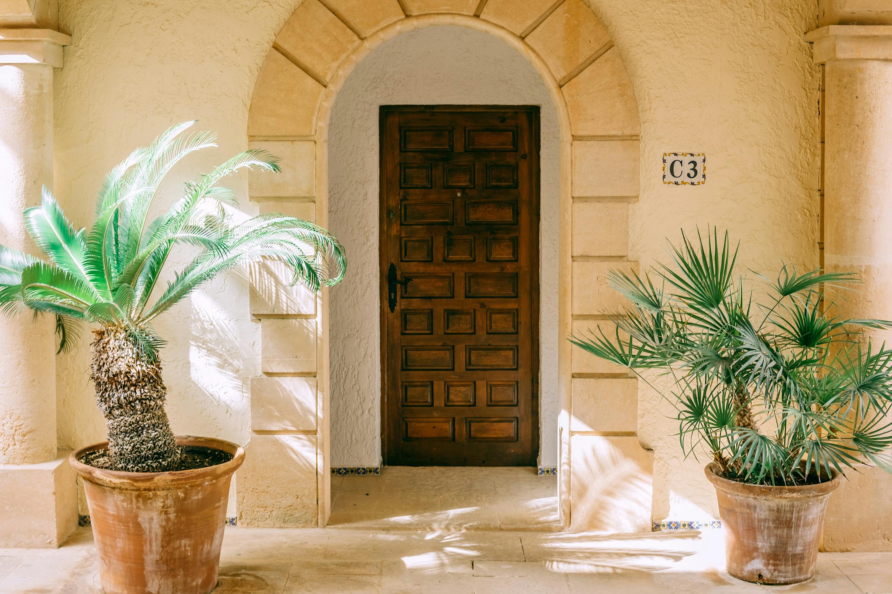 Mediterraans interieur met kamerplanten in terracotta en kalkwit potten