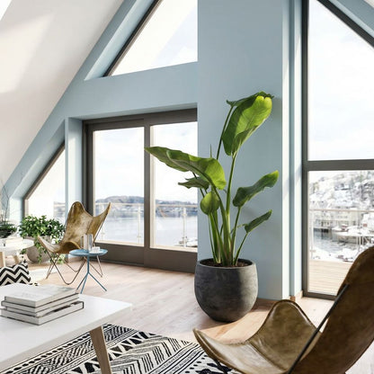 Stelitzia Nicolai in urban jungle interieur