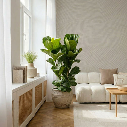 Ficus Lyrata bladstructuur close-up